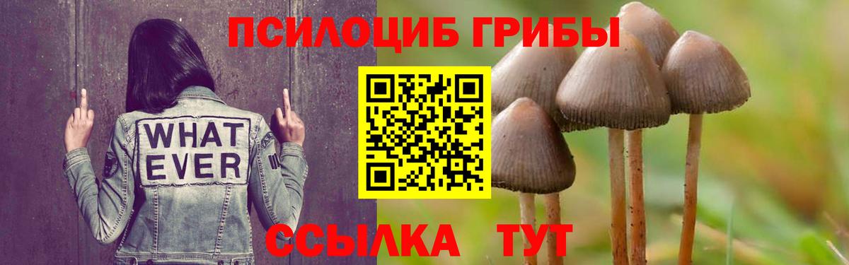 Геленджик  Псилоцибиновые грибы прущие грибы  Вход с VPN 